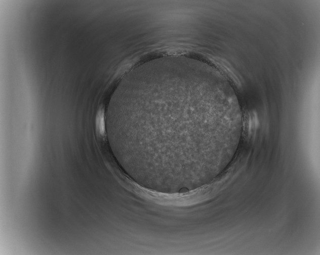 X0000115410046200911101620