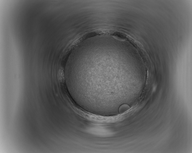 X0000115410048200911101620
