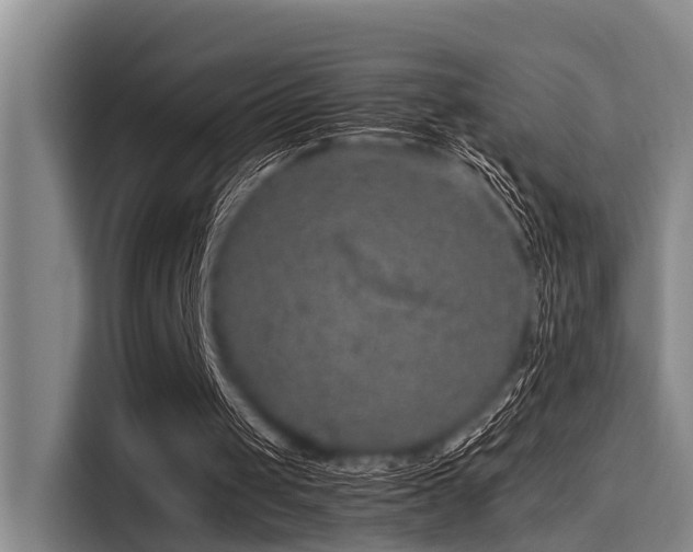 X0000115410049200911101619