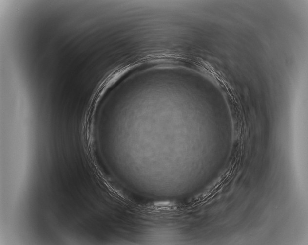 X0000115410050200911101619
