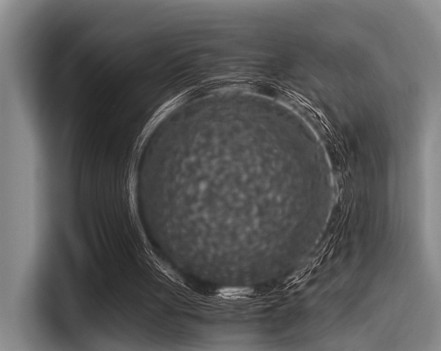 X0000115410051200911101619