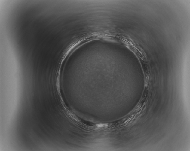 X0000115410052200911101619