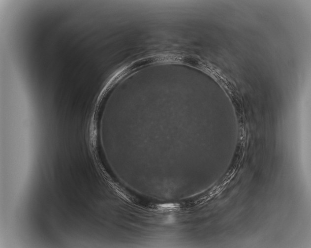 X0000115410053200911101619