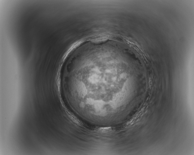 X0000115410054200911101619