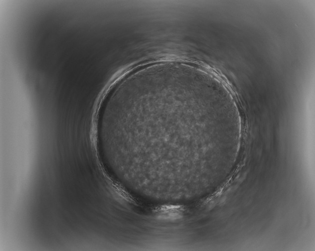 X0000115410055200911101620