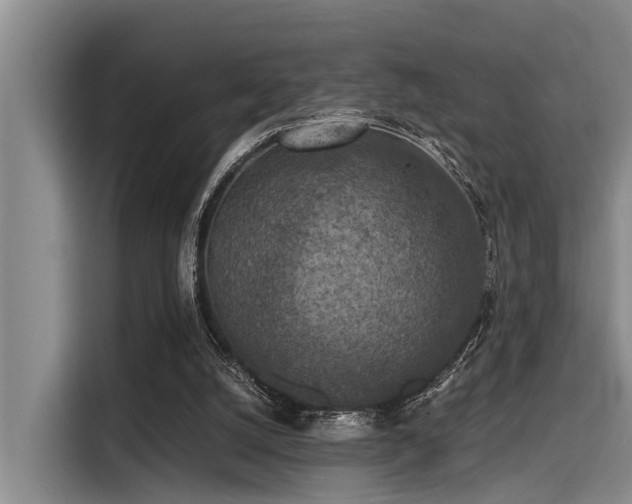 X0000115410056200911101620