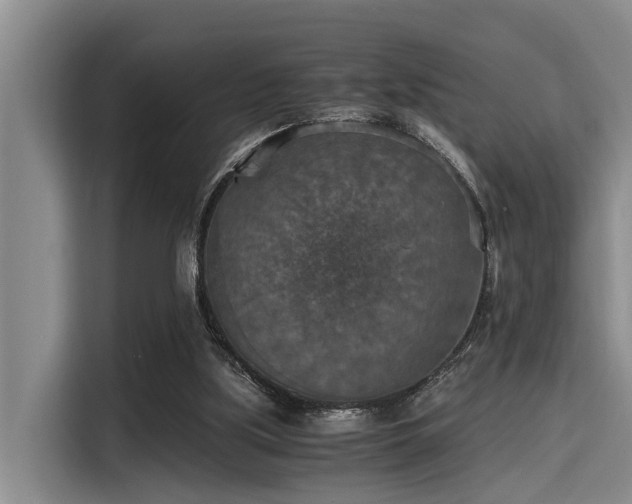X0000115410059200911101620