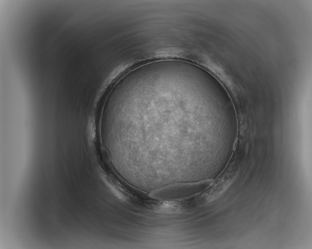 X0000115410060200911101620