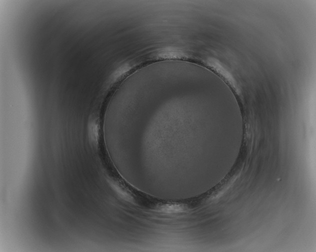 X0000115410063200911101620