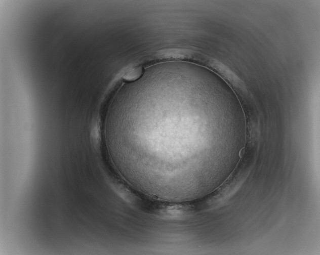 X0000115410064200911101620