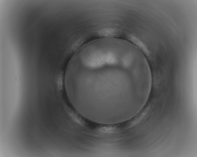 X0000115410065200911101620