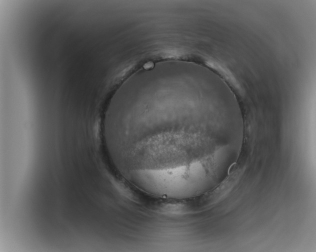 X0000115410066200911101620