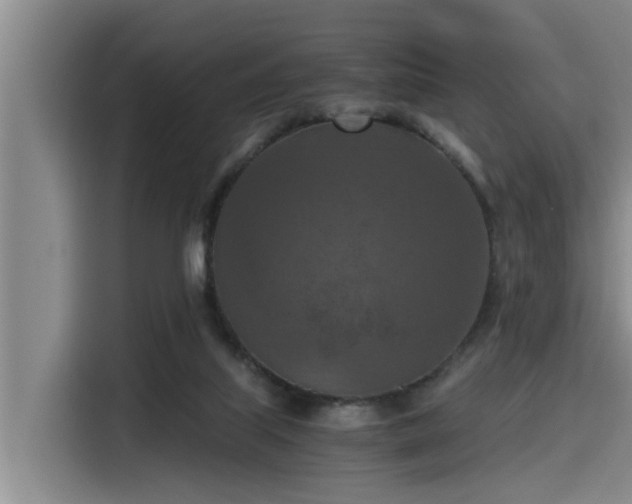 X0000115410067200911101620