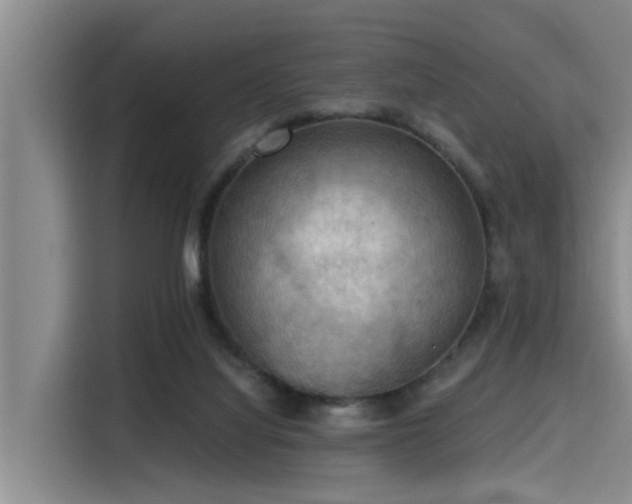 X0000115410068200911101620