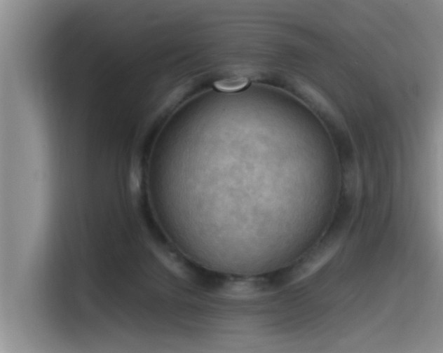 X0000115410072200911101620