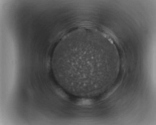 X0000115410073200911101620