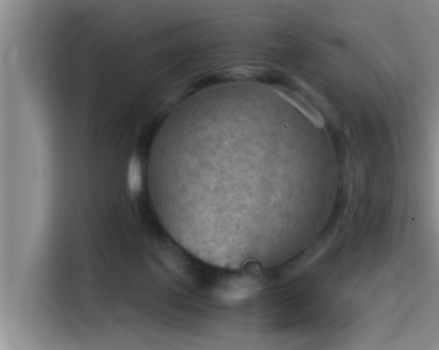 X0000115410075200911101620