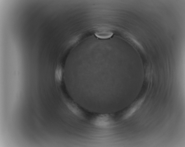 X0000115410076200911101620