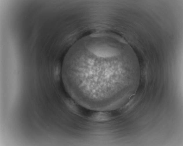 X0000115410082200911101620