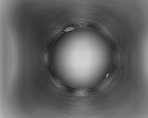 X0000115410088200911101620
