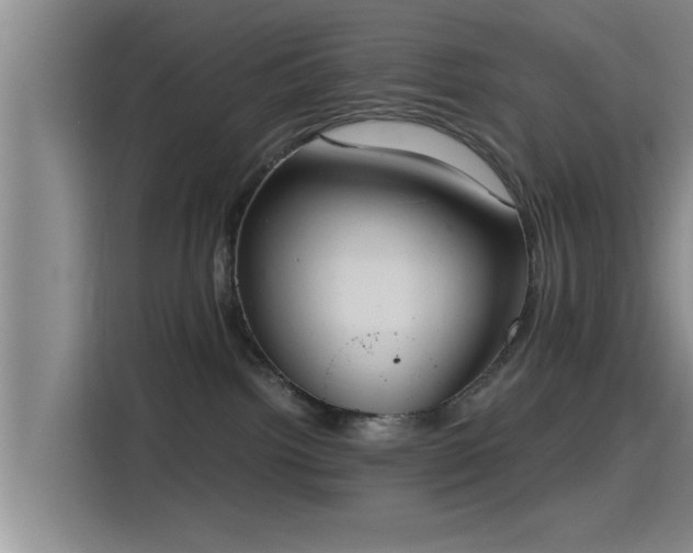 X0000115410092200911101620