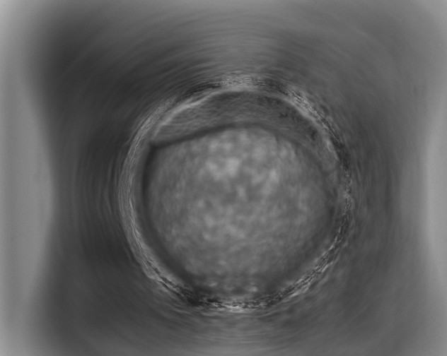 X0000115410097200911101619