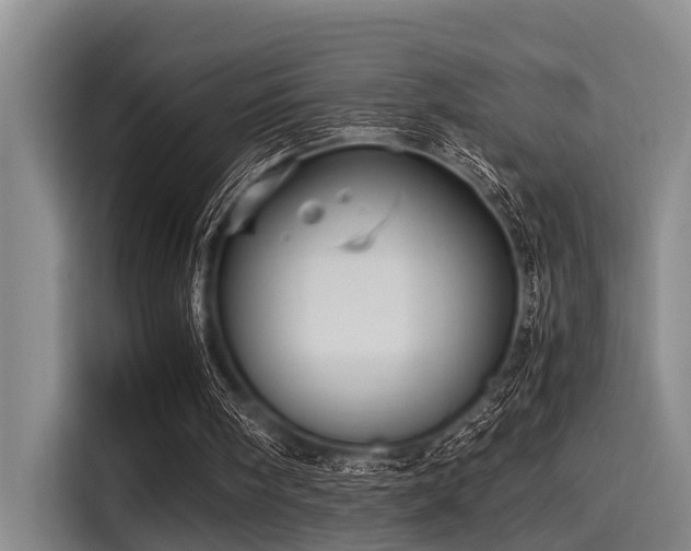 X0000115410098200911101619