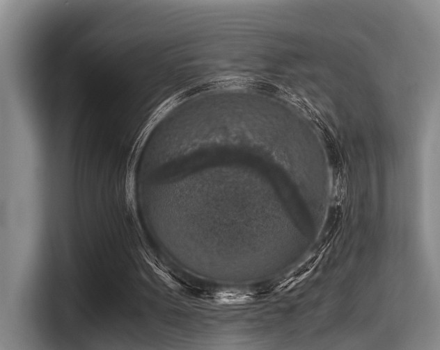 X0000115410099200911101619