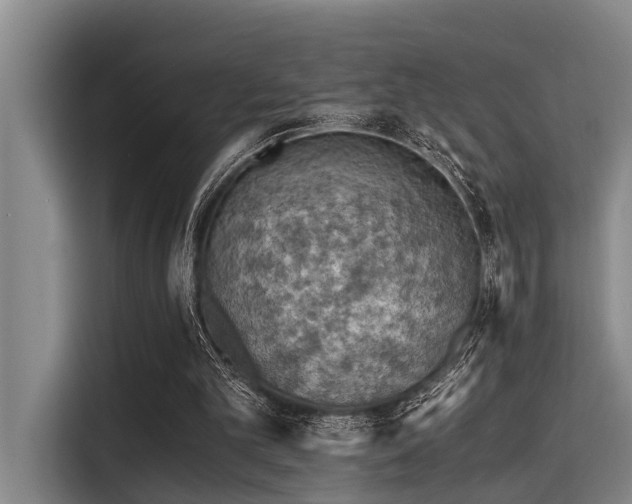 X0000115410101200911101619