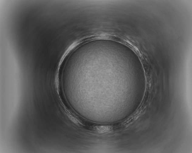 X0000115410102200911101619