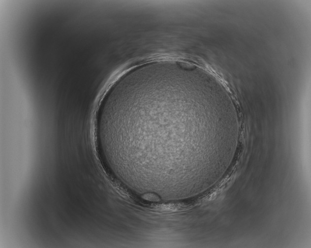 X0000115410103200911101619
