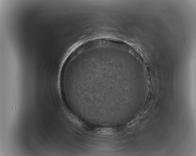 X0000115410104200911101619