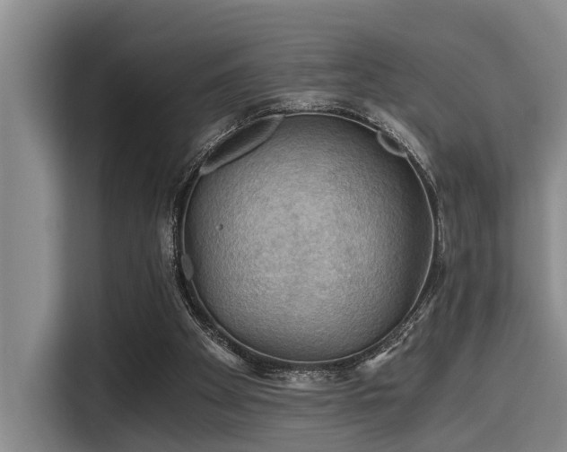 X0000115410105200911101619