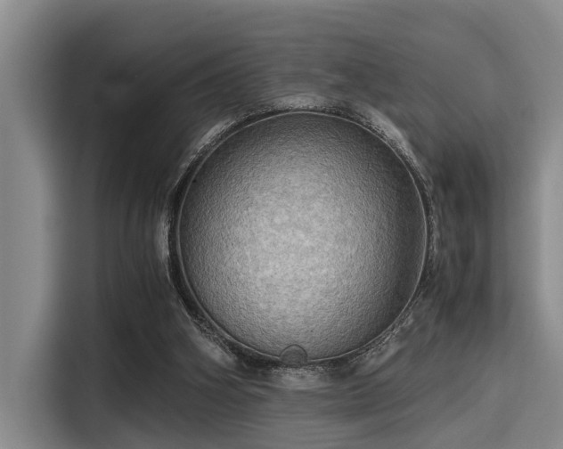 X0000115410106200911101619