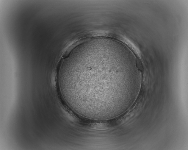 X0000115410107200911101619