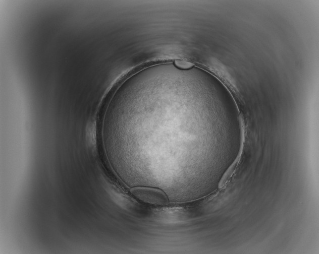 X0000115410108200911101619
