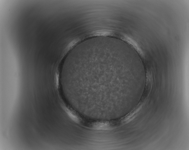 X0000115410110200911101619