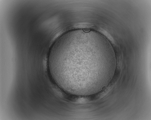 X0000115410111200911101619