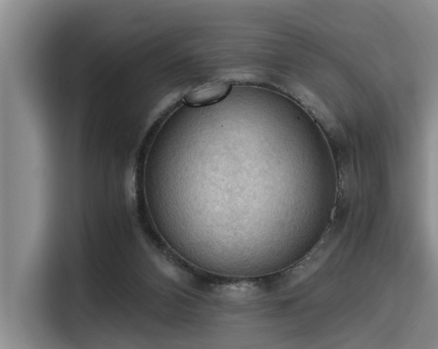 X0000115410112200911101619