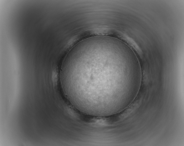 X0000115410113200911101619