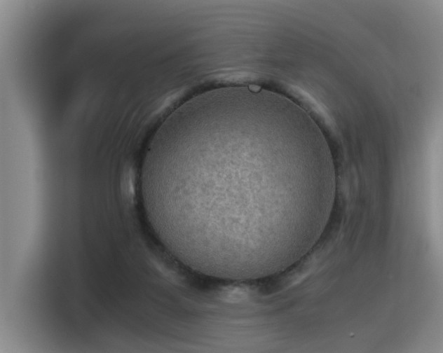 X0000115410115200911101619