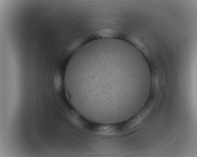 X0000115410117200911101619