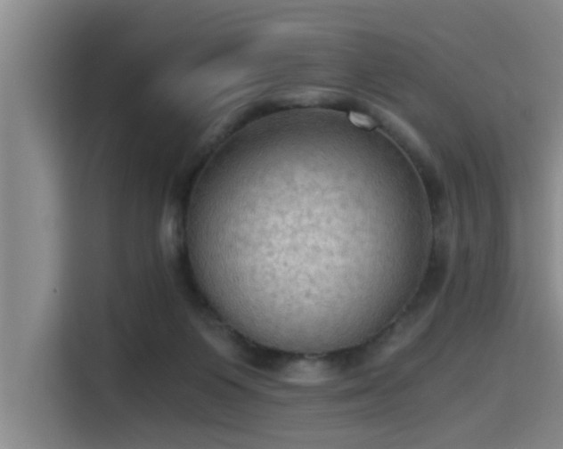 X0000115410119200911101619