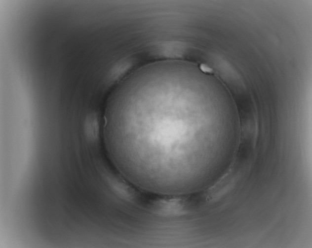 X0000115410120200911101619