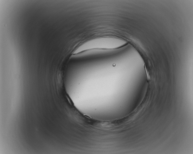 X0000115410121200911101619