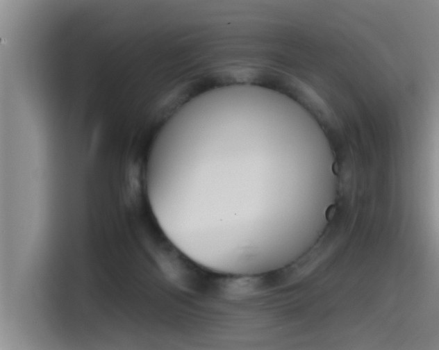 X0000115410122200911101619