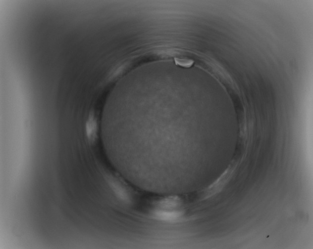 X0000115410124200911101619