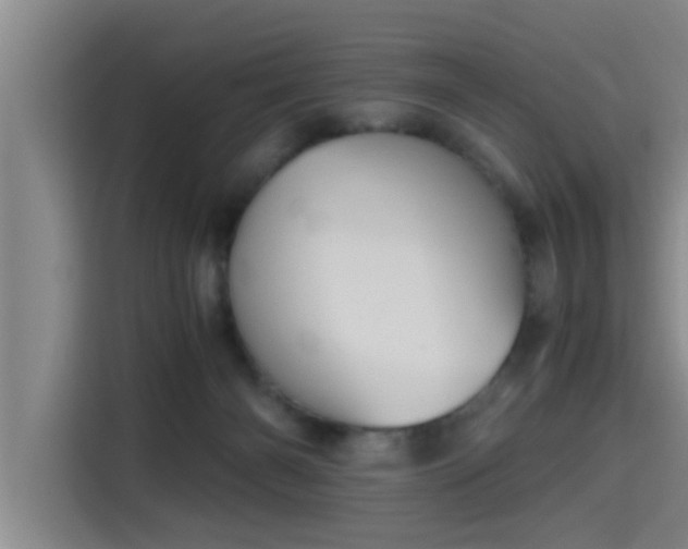X0000115410126200911101619