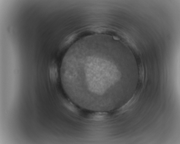 X0000115410128200911101619
