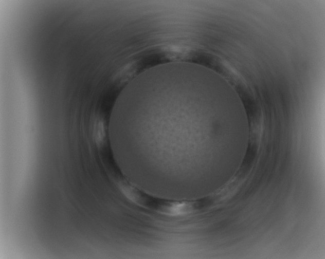 X0000115410130200911101619